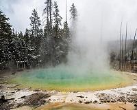Capturing bacteria that eat and breathe electricity