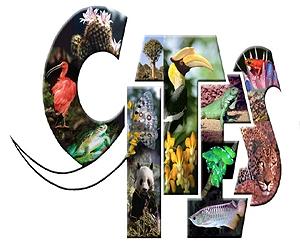 Rhinos, elephants and sharks to top CITES agenda