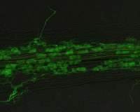 400 million years of a stable relationship