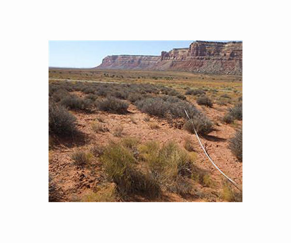 NASA grant aids geography professor's climate research on dryland regions