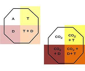 Summer Drought limits the positive effects of CO2 and heat on plant growth in future climate
