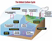 Analysis: Climate change on OPEC agenda
