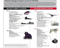 Alaska animals could experience habitat change from warming climate