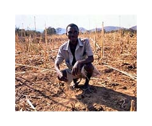 E.Africa in drive to develop neglected drylands