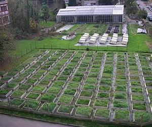 Protecting Ecosystems, Pollution Remediation Goals Of Research