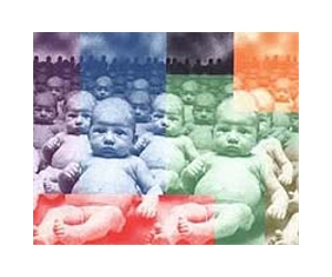 Japan firm offers 3D model of foetus