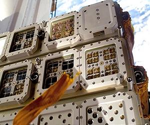 Commercial Platform Offers Exposure at ISS