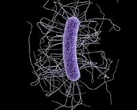 It takes a village to ward off dangerous infections