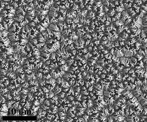 Major Advance In Understanding How Nanowires Form