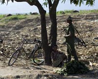 Kenya urges DR Congo foes to respect ceasefire