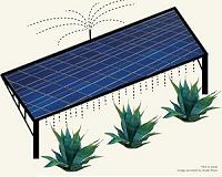 Stanford scientists model a win-win situation: growing crops on photovoltaic farms