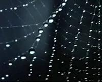 Dancing droplets launch themselves from thin fibers
