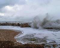 Coastal armoring and its ecological effects in soft sediment environments