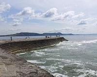Japanese sea defense guidelines could assist other tsunami-prone nations