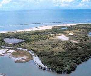 Destroyed Coastal Habitats Produce Significant Greenhouse Gas