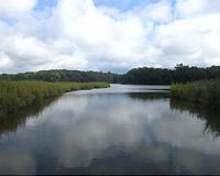 Man-made structures affecting coastal wetlands in Louisiana, study says