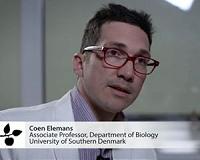 A common mechanism for human and bird sound production