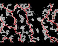 New active filaments mimic biology to transport nano-cargo