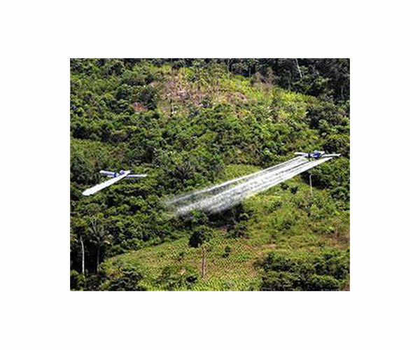 Colombia close to resuming aerial spraying of coca crops