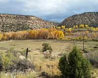Shunned by microbes, organic carbon can resist breakdown in underground environments