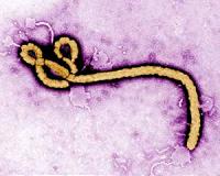 UN confronts deadly Ebola epidemic