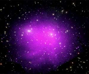 Clues to the growth of the colossus in Coma