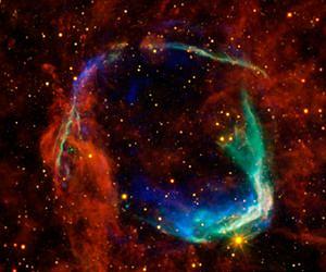 Fingering the culprit that polluted the Solar System