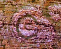 Life Forms Ejected On Asteroid Impact Could Survive To Reseed Earth