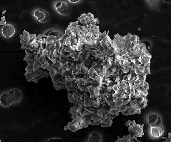 How asteroid dust helped us prove life's raw ingredients can evolve in outer space