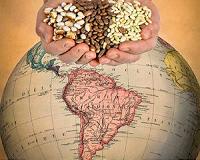 Common bean genome sequence provides powerful tools to improve critical food crop