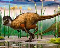 Feathers preceded birds by 100 million years