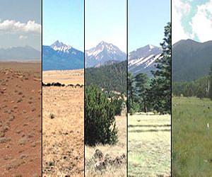 Climate Change Boosts Then Quickly Stunts Plants, Decade-long Study Shows