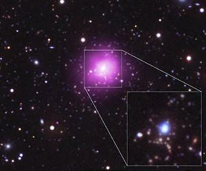 Astronomers Reassured by Record-breaking Star Formation in Huge Galaxy Cluster