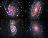 Professional and Amateur Astronomers Join Forces