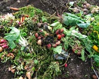 Composting Effort Bringing Food Full Circle