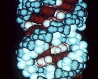 NASA Experiments With 'Building Blocks' of Life in Lab