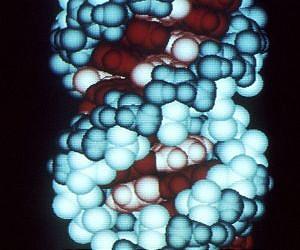 Natural affinities may have set stage for life to ignite