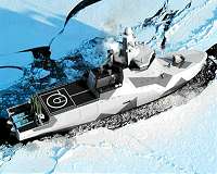 Study identifies which marine mammals are most at risk from increased Arctic ship traffic