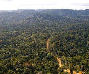 Heritage listing spurs Congo park poaching crackdown