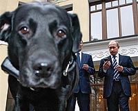 Putin's Dog Get Long-Promised Satellite Tracking Collar