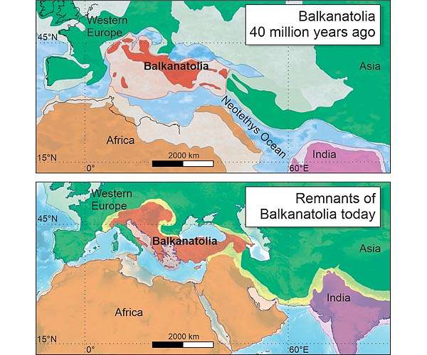 Balkanatolia: the forgotten continent that sheds light on the evolution of mammals