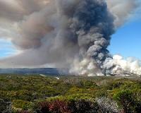 History of fire and drought shapes the ecology of California