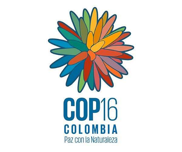COP16 biodiversity talks to restart in February: UN