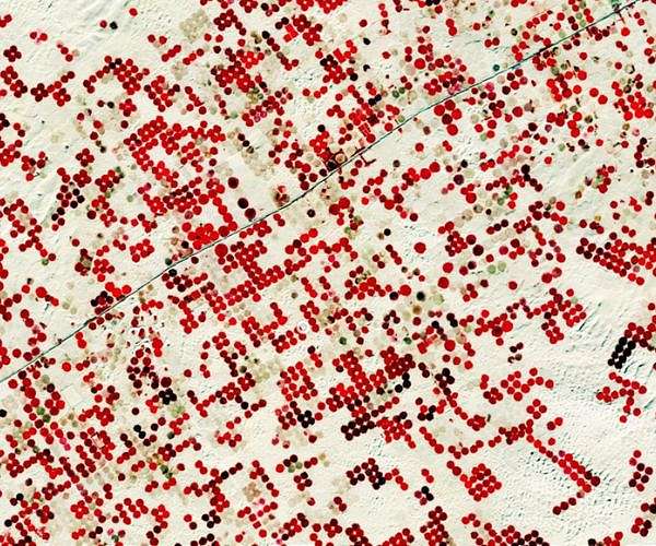 Harmonized Landsat and Sentinel 2 Expands Global Earth Monitoring Capabilities