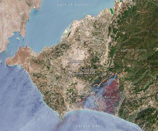 Greek national park fire exposes policy flaws: WWF