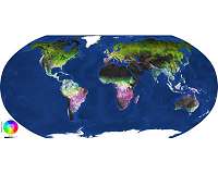Land-cover dynamics unveiled