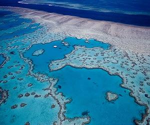 Mexicans fear climate change threat to massive reef
