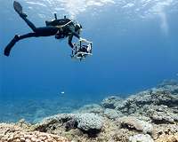 Australia offers cash for Great Barrier Reef rescue ideas
