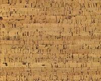 Cork trees offer greener source of polyester