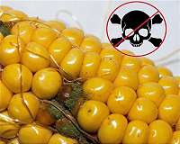 This small molecule could have a big future in global food security